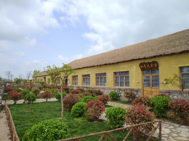 山东省枣庄峄城区程庄村:突出基础设施 让乡村靓起来