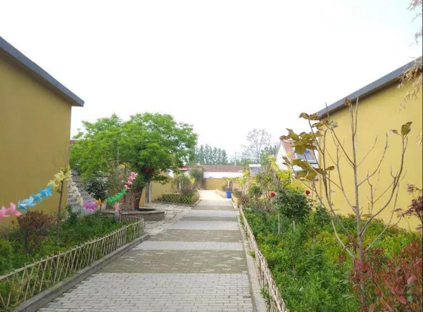 山东省枣庄峄城区程庄村:突出基础设施 让乡村靓起来