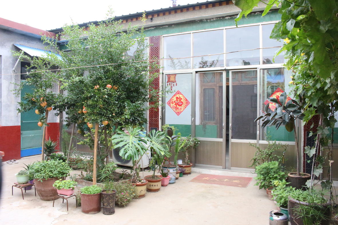 泰安东平县:庭院如画扑面来_山东宣传网