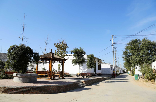 德州市武城县李家户镇西店村街景