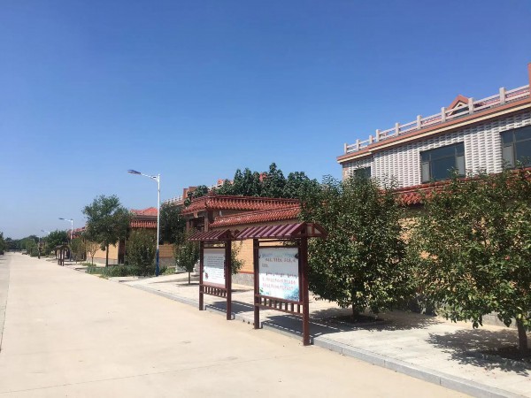 潍坊滨海经济技术开发区大家洼街道孟家庄子村:领跑致富路 常开文明花